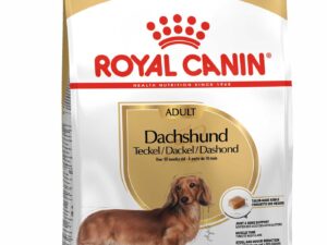 Royal Canin Teckel