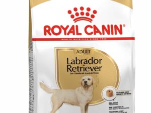 Royal Canin Labrador Adulto