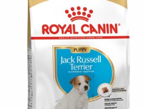 Royal Canin Jack Russel Puppy