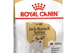 Royal Canin Jack Russel
