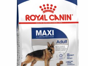 Royal Canin Maxi Adult