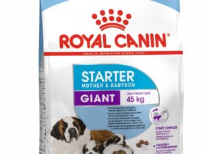 Royal Canin Giant Starter